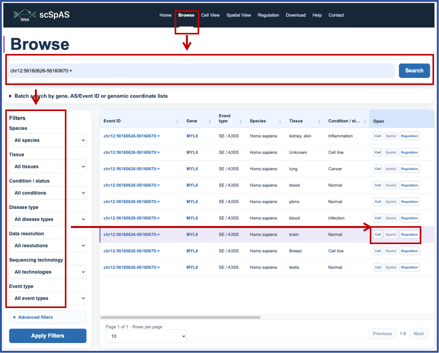 Search and Browse page overview