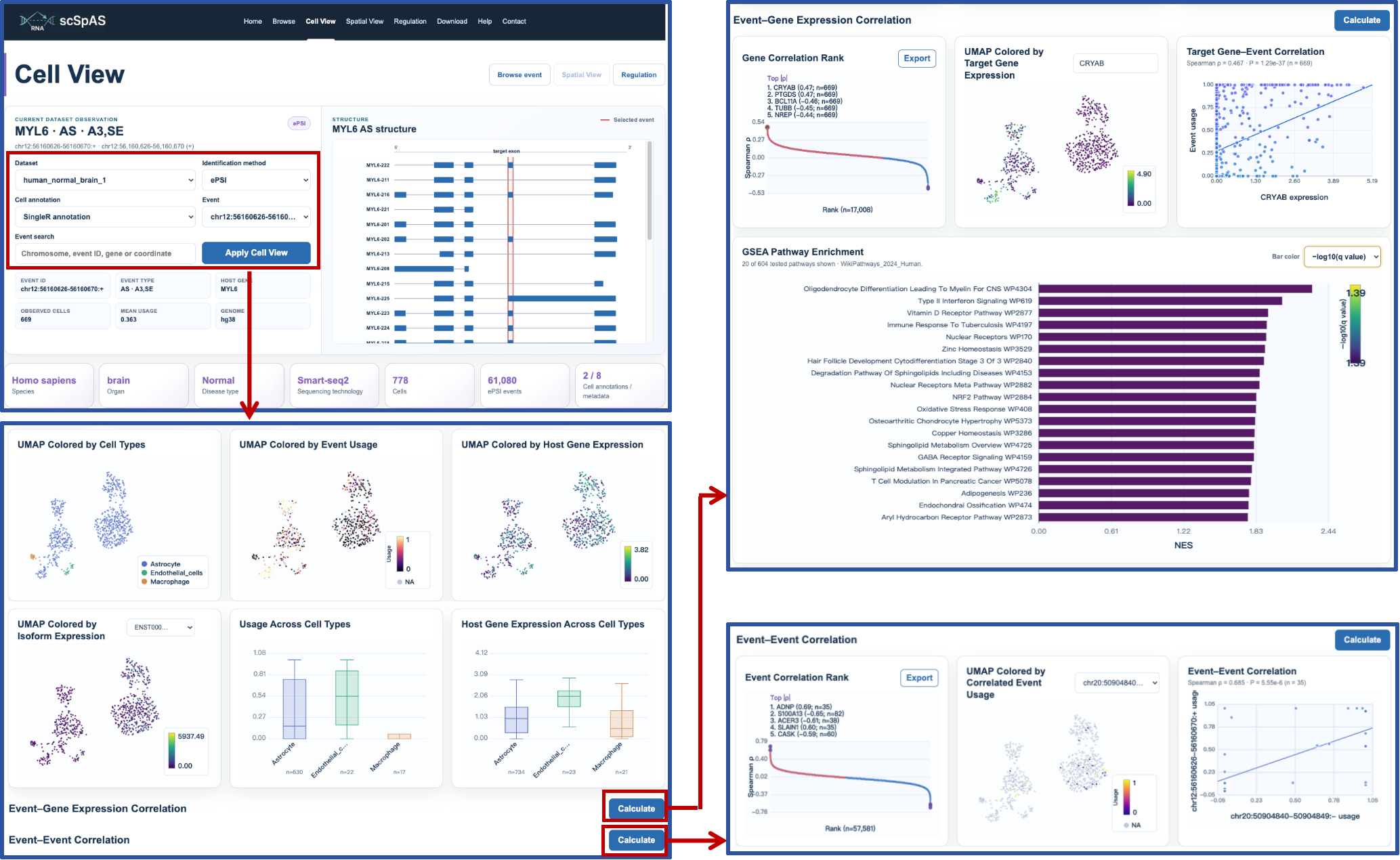 Cell View page overview