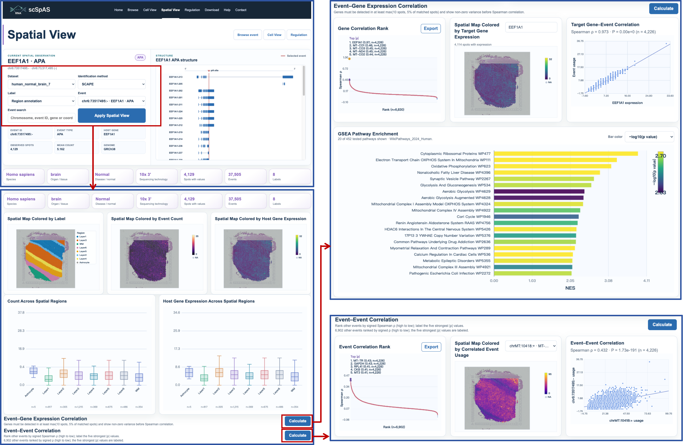 Spatial View page overview
