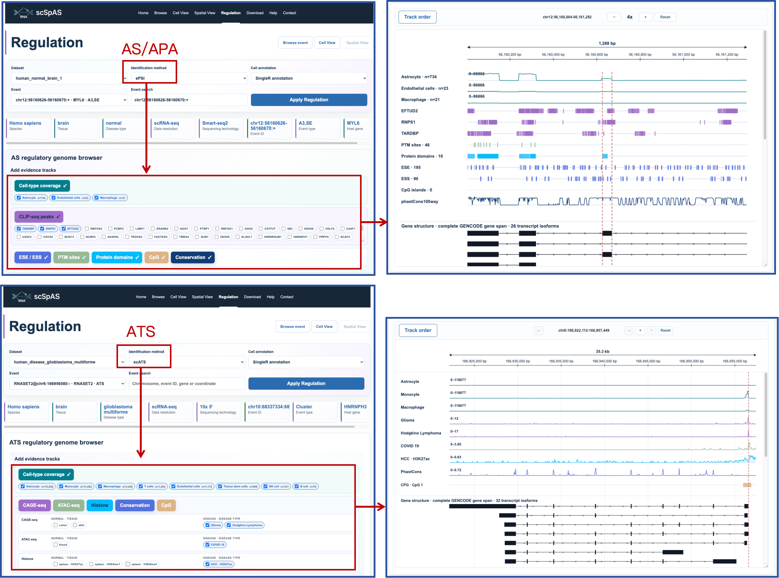 Regulation page overview